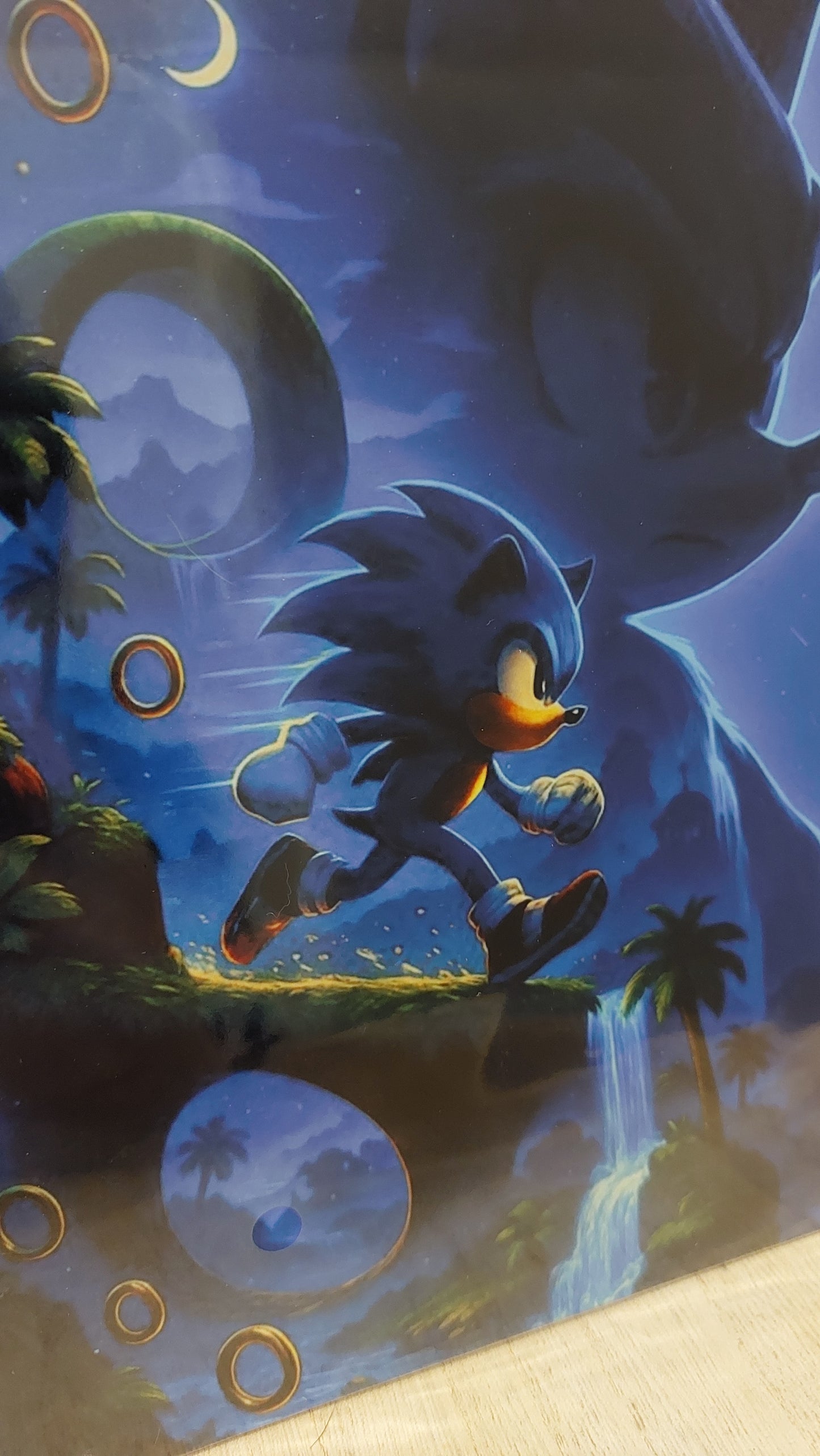 Plaque décorative en métal – Hérisson supersonique & anneaux dorés